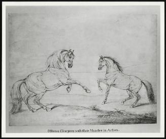 Egerton + Suelgrave 1978 No 1 P 25