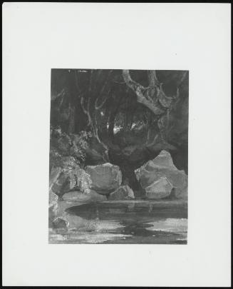 The Haunted Wood