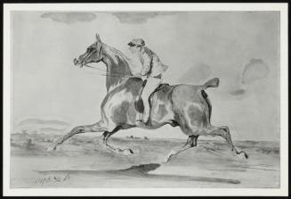 Jockey on Horseback