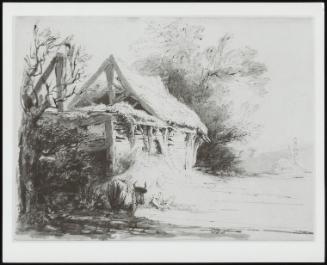Ruined Barn with Cow