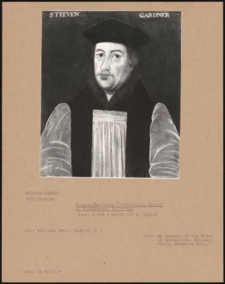 Stephen Gardiner (1483–1555), Bishop Of Winchester, 1531–1550