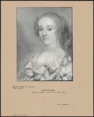 Sketch Of A Lady