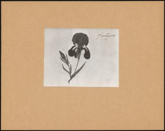 PA-F00928-0019