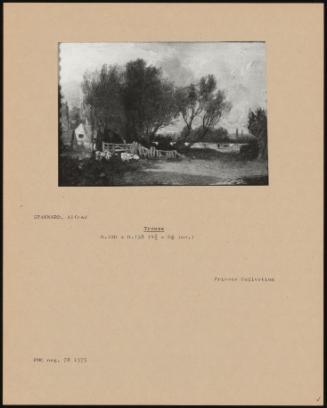 PA-F01081-0019