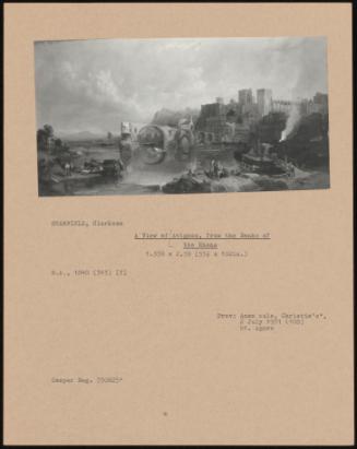 A View of Avignon, From the Banks of the Rhone