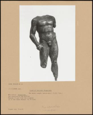 Torso Of Hercules Hesperides