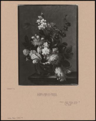 A Still Life Ot Flowers