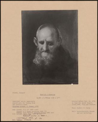 Head Of A Capuchin