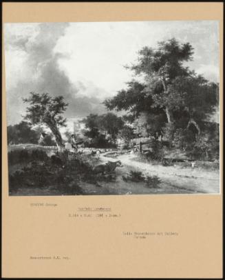 Norfolk Landscape