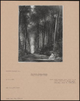 The Beech Avenue, Denbies