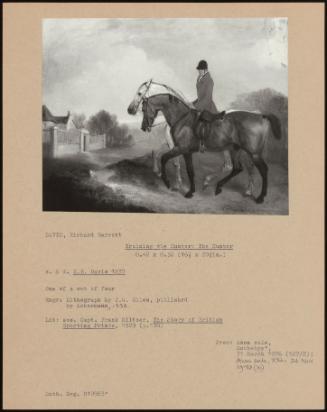 Training The Hunter: The Hunter