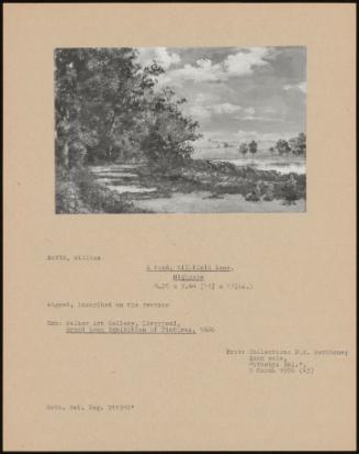 A Pond, Millfield Lane, Highgate