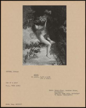Ariel