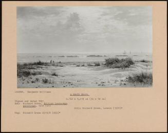 A Sandy Shore