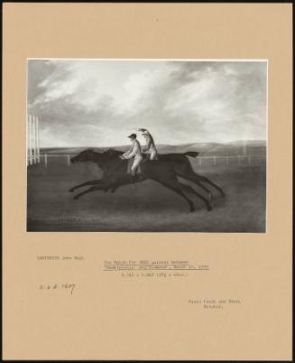 The Match for 3000 Guineas Between "Hambletonia" and "Diamond", March 25, 1799