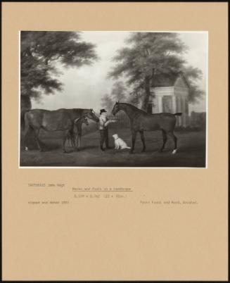 Mares and Foals in a Landscape