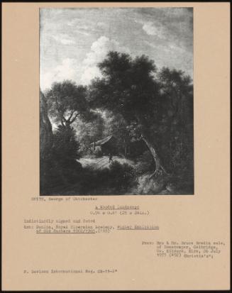 A Wooded Landscape