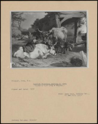 Spanish Peasants Resting By Oxen