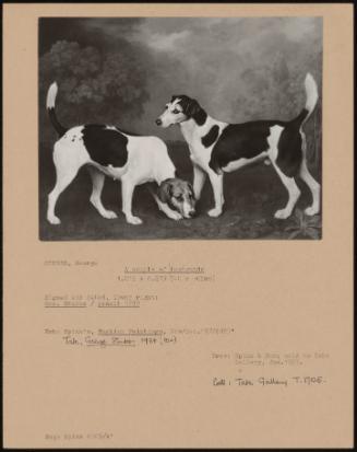 A Couple of Foxhounds