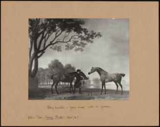 Chestnut And Dappled Grey Horse With Groom