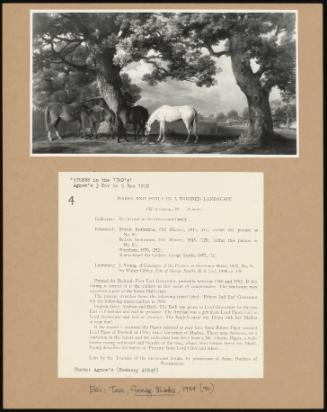 Mares and Foals in a Wooded Landscape