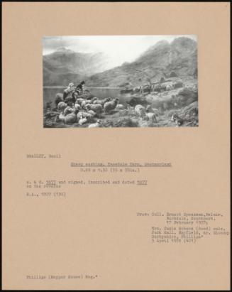 Sheep Washing, Easedale Tarn, Westmorland