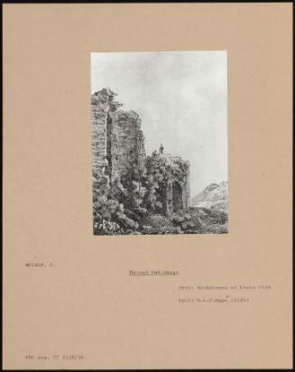 Ruined Buildings