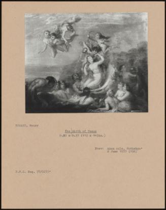 The Birth Of Venus