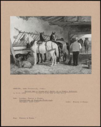 Horses And A Groom With Goats In A Stable Interior