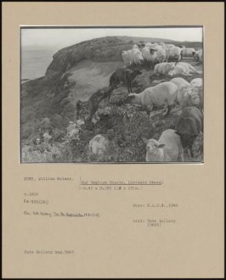 Our English Coasts, (Strayed Sheep)