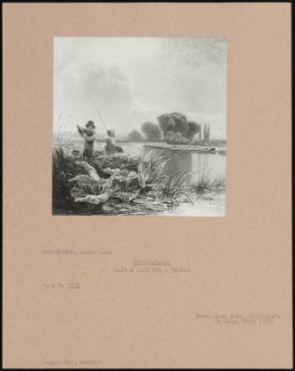 Sticklebacks