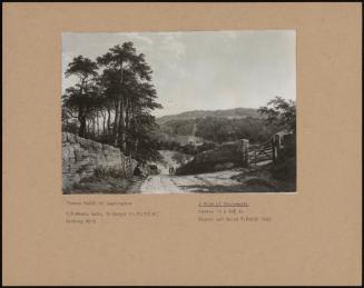 A View Of Chatsworth