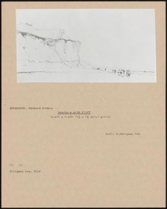 Seashore With Cliff