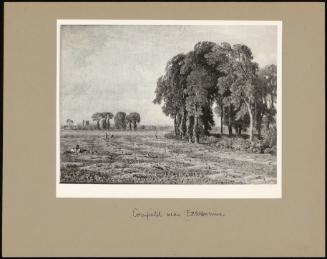 A Cornfield Near Eastbourne