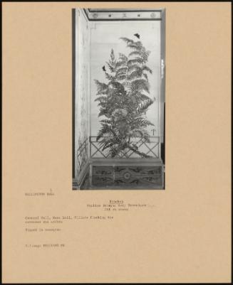 Bracken