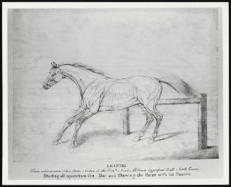 Egerton + Suelgrave 1978 No 1 P 25