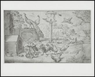Farmyard with Channel Fox Attacking a Fowl