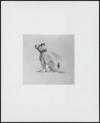A Terrier