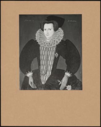 Unknown Lady Dated 1595