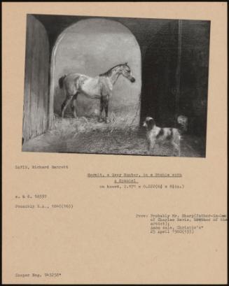 Hermit, A Grey Hunter, In A Stable With A Spaniel