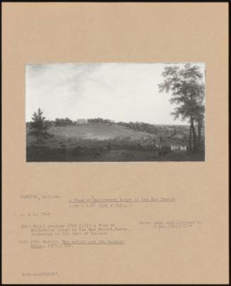 A View Of Bolderwood Lodge In The New Forest