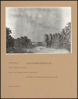 View In The Grounds Of Scriby Hall, 1782