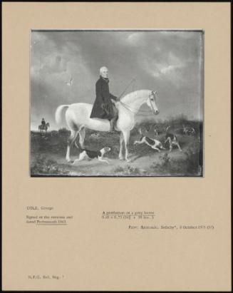 A Gentleman On A Grey Horse
